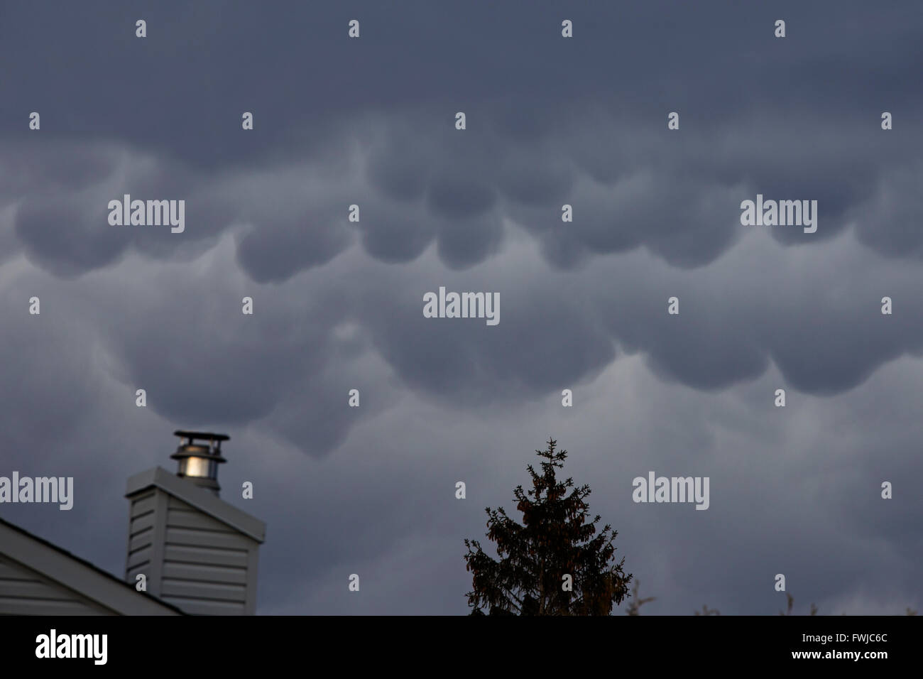 Mammatus Wolken, auch bekannt als mammatocumulus Stockfoto