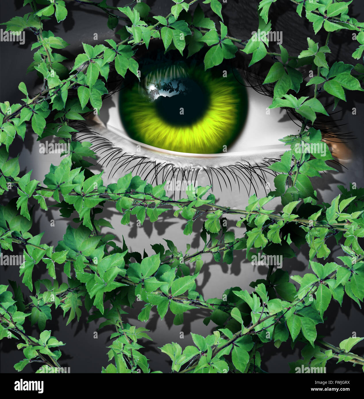 Natur menschlichen Konzept als das grüne Auge einer Person Blick hinter eine wachsende Gruppe von Blatt Reben als ökologische Idee oder ein Erde-Tag-Vision-Symbol. Stockfoto