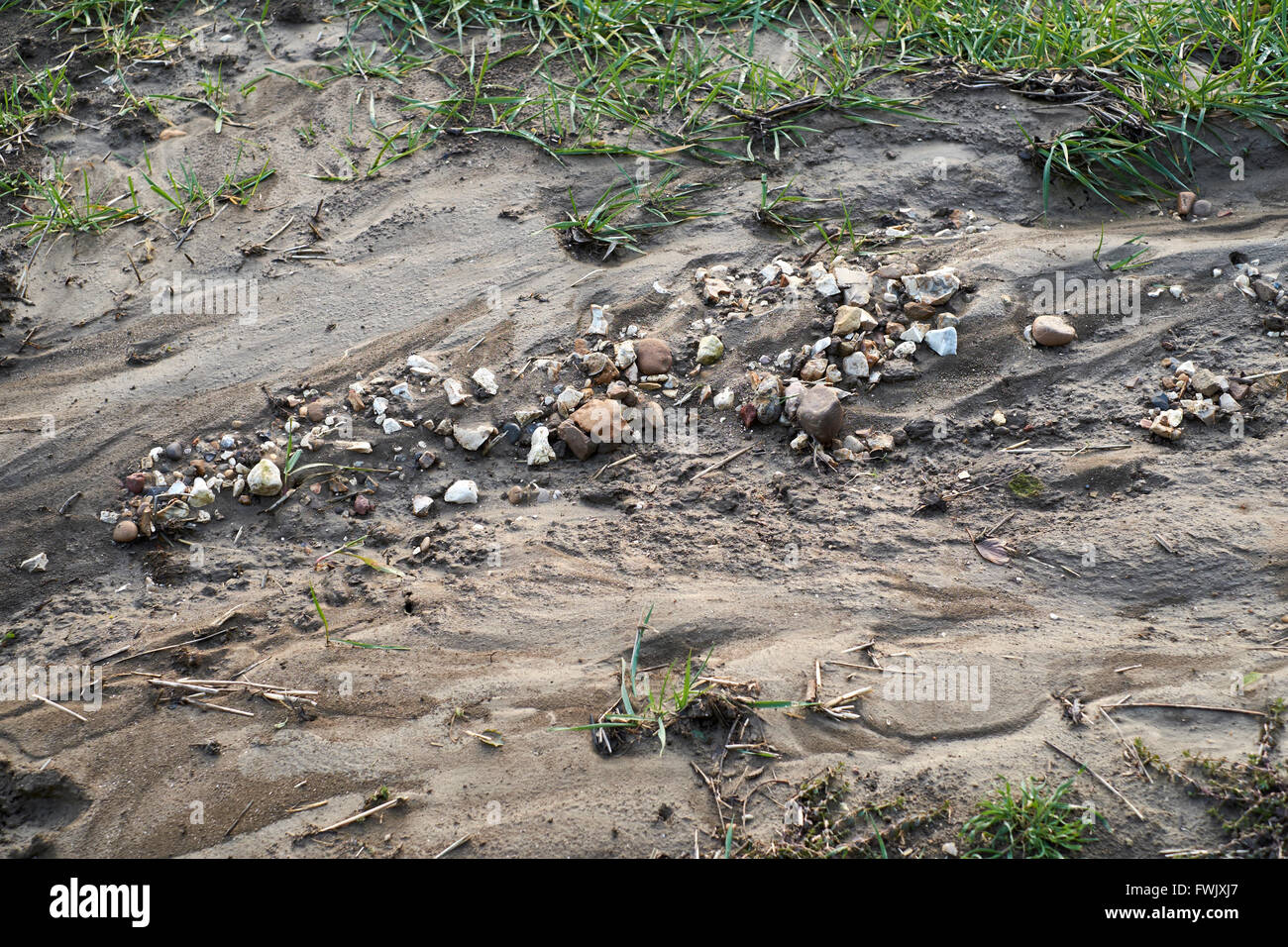Bodenerosion durch Überland Hochwasser. Stockfoto