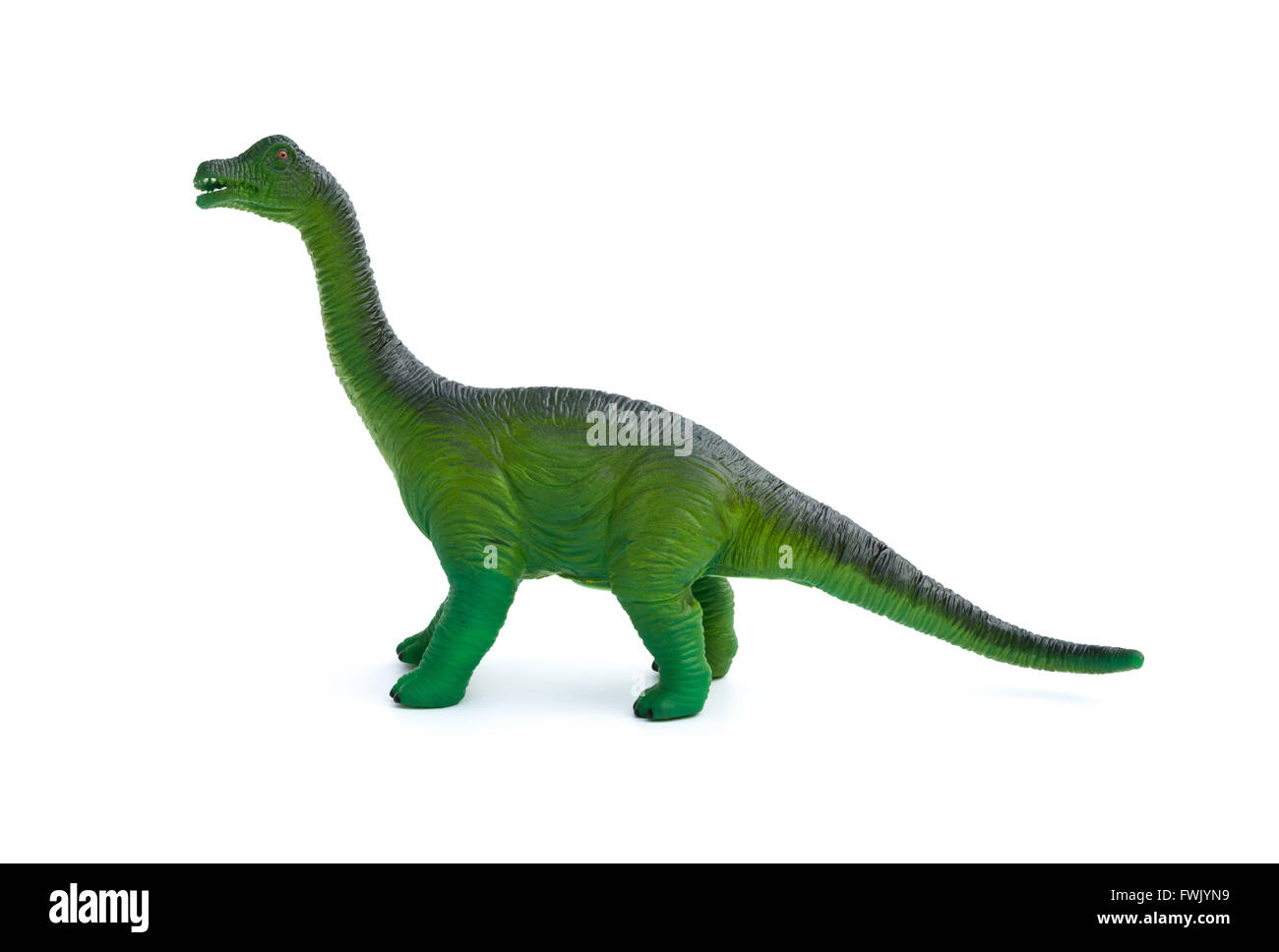 Seite Ansicht grün Brachiosaurus Spielzeug auf weißem Hintergrund  Stockfotografie - Alamy