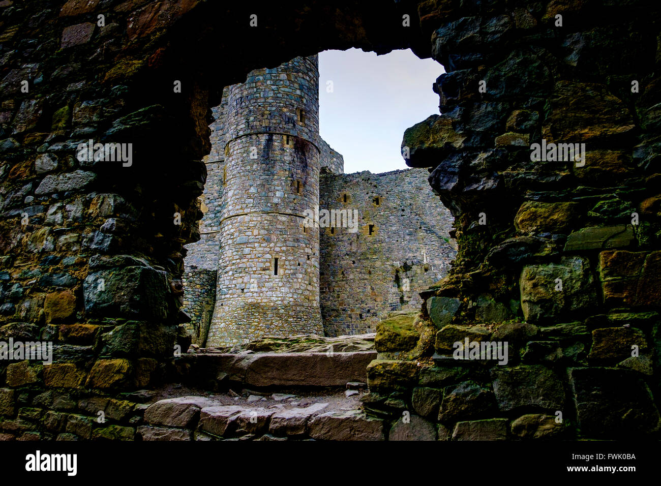 Harlech Castle befindet sich in Harlech, Gwynedd, Wales Stockfoto