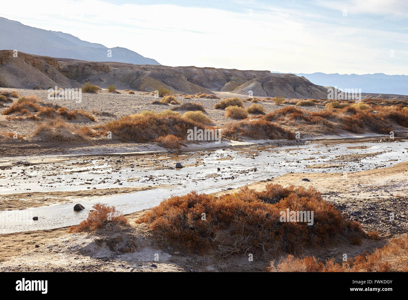 Salt Creek, Death Valley Nationalpark, Kalifornien, USA Stockfoto