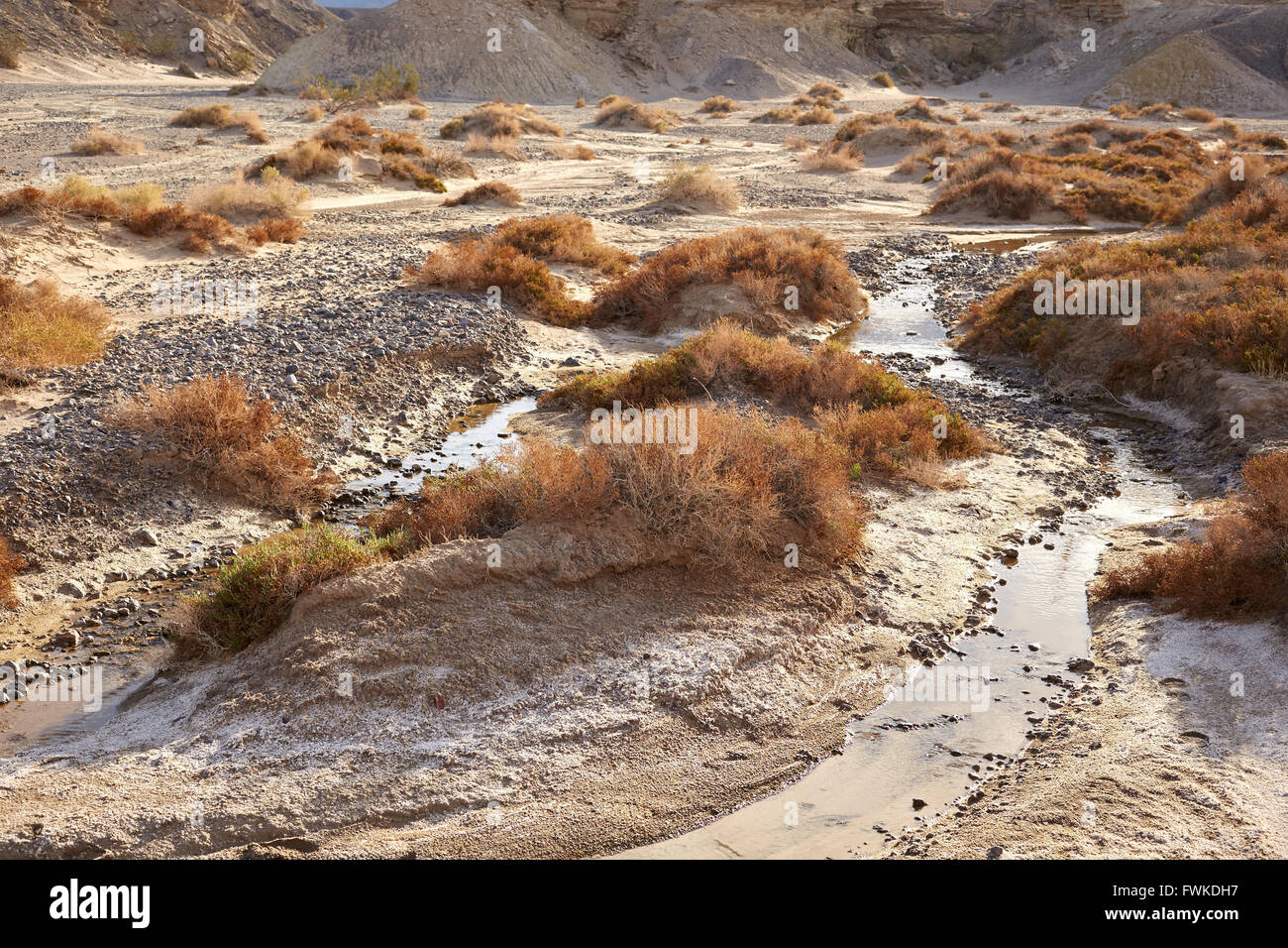 Salt Creek, Death Valley Nationalpark, Kalifornien, USA Stockfoto