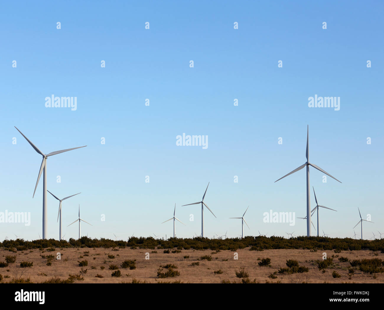 Wind Powered elektrische Generatoren in der Nähe von San Angelo, Texas, USA Stockfoto