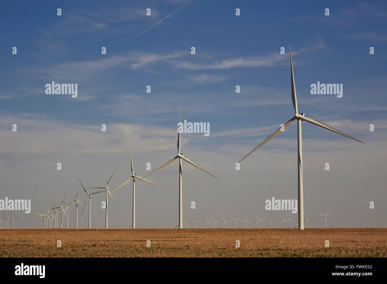 Windkraftanlagen in der Nähe von Amarillo, Texas, USA Stockfoto