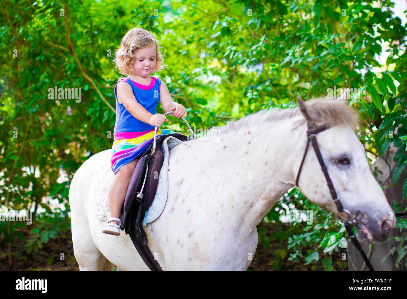 Niedliche kleine Kleinkind Mädchen Spaß am Reiten Familienausflug zu einem Zoo an einem heißen Sommertag zu genießen Stockfoto