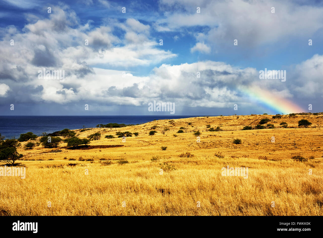 Vereinzelte Schauer und Sonne bricht Erstellen dieser Regenbogen entlang des Trockners Nordseite auf der Big Island von Hawaii. Stockfoto