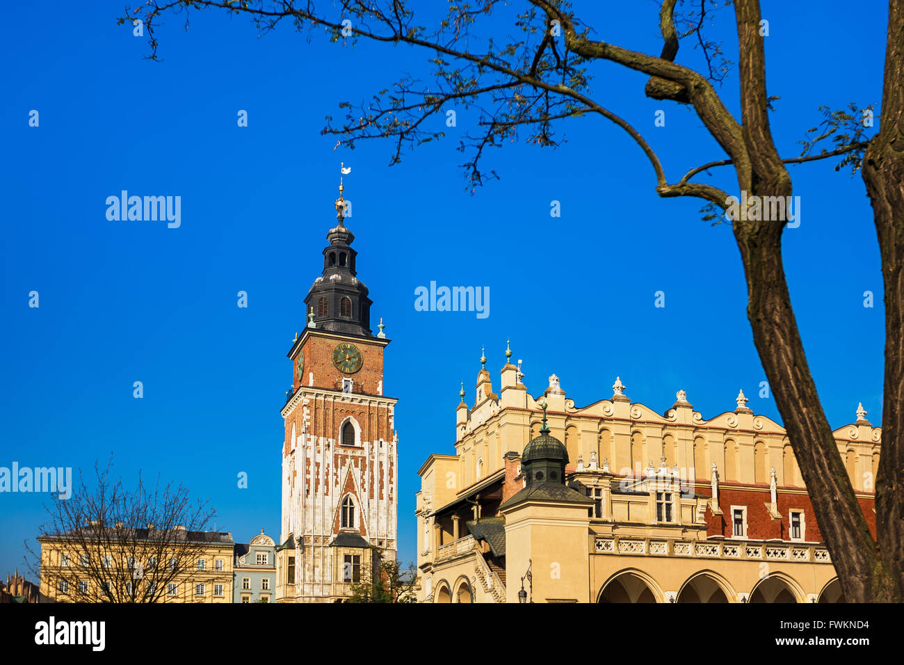 Turm des Rathauses am Markt Platz von Krakau, Polen Stockfoto