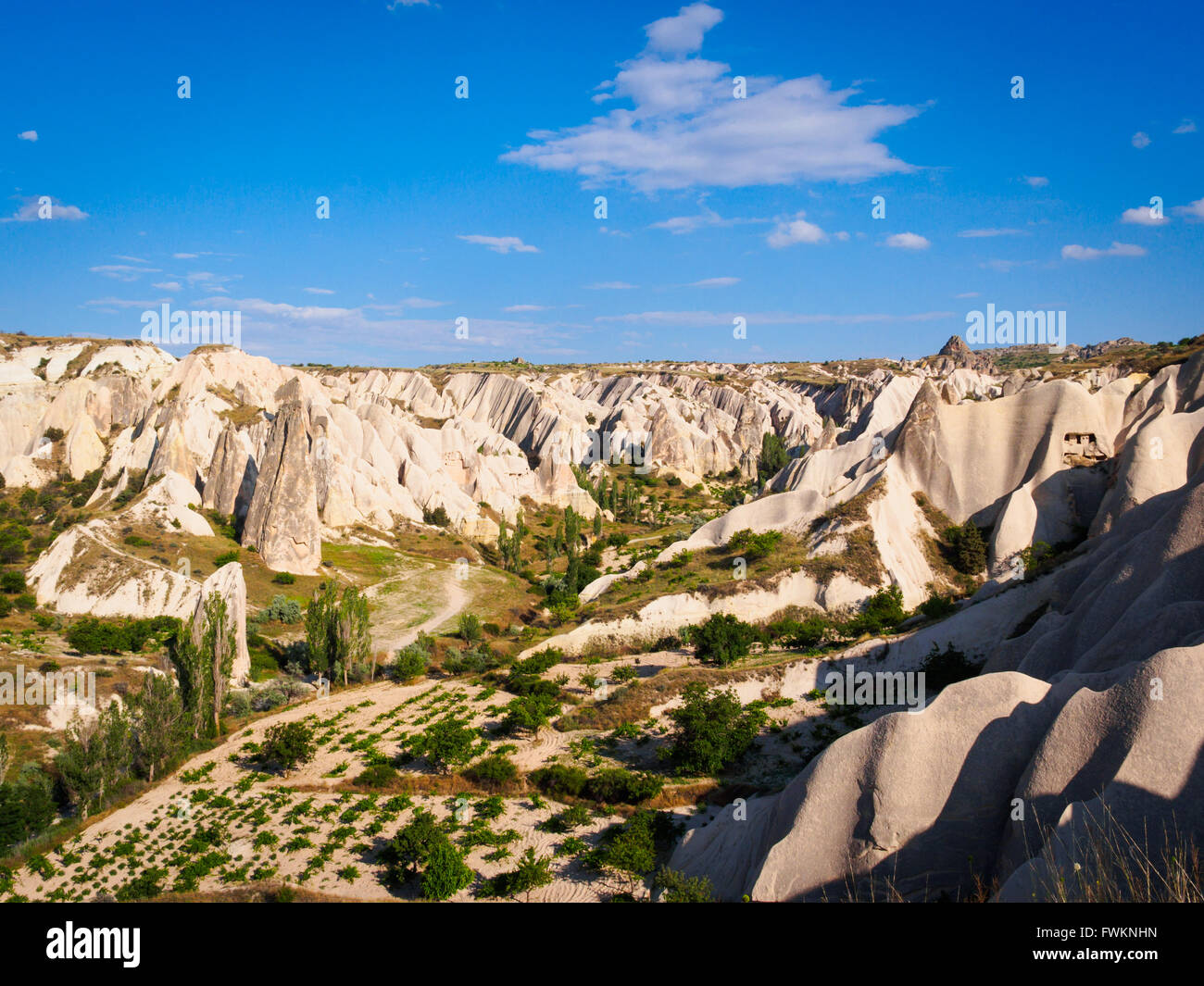 Blick über die fantastische Landschaft von Rosental (Güllüdere) in der Nähe von Göreme, Kappadokien, Türkei Stockfoto