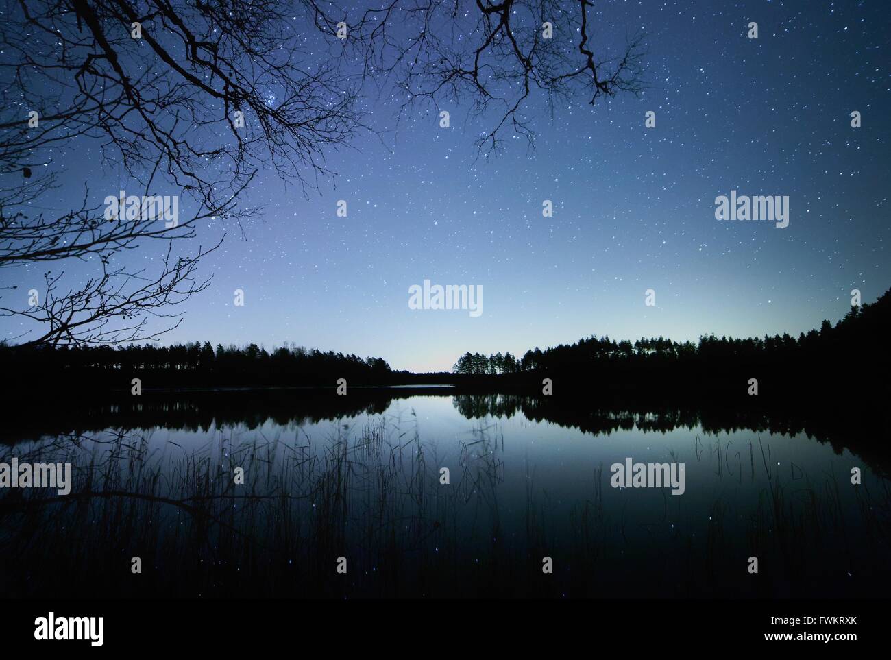 Ruhige Nachtszene mit Sternenhimmel an einem See in Finnland. Reflexion der Sterne auf das Stille Wasser des Sees. Stockfoto