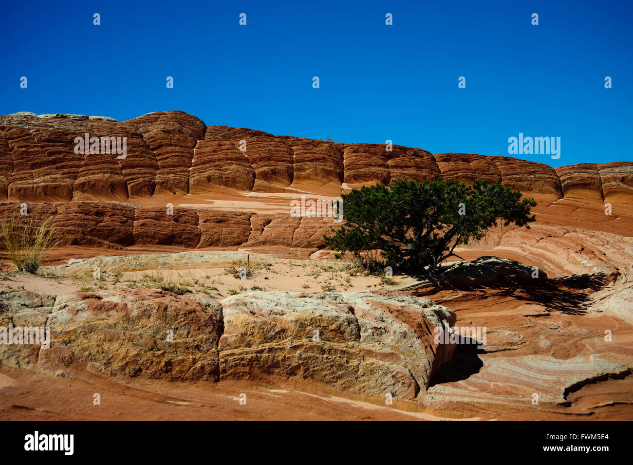 Die Felsformationen aus Sandstein Anzeichen der Erosion von Wind und Wasser in schönen visuellen Streifung heraus fließt. Stockfoto