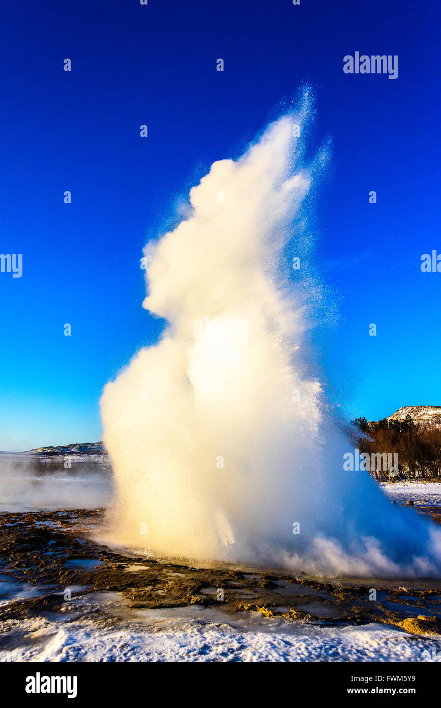 Die wichtigsten Geysir zu Geysir, Island Stockfoto