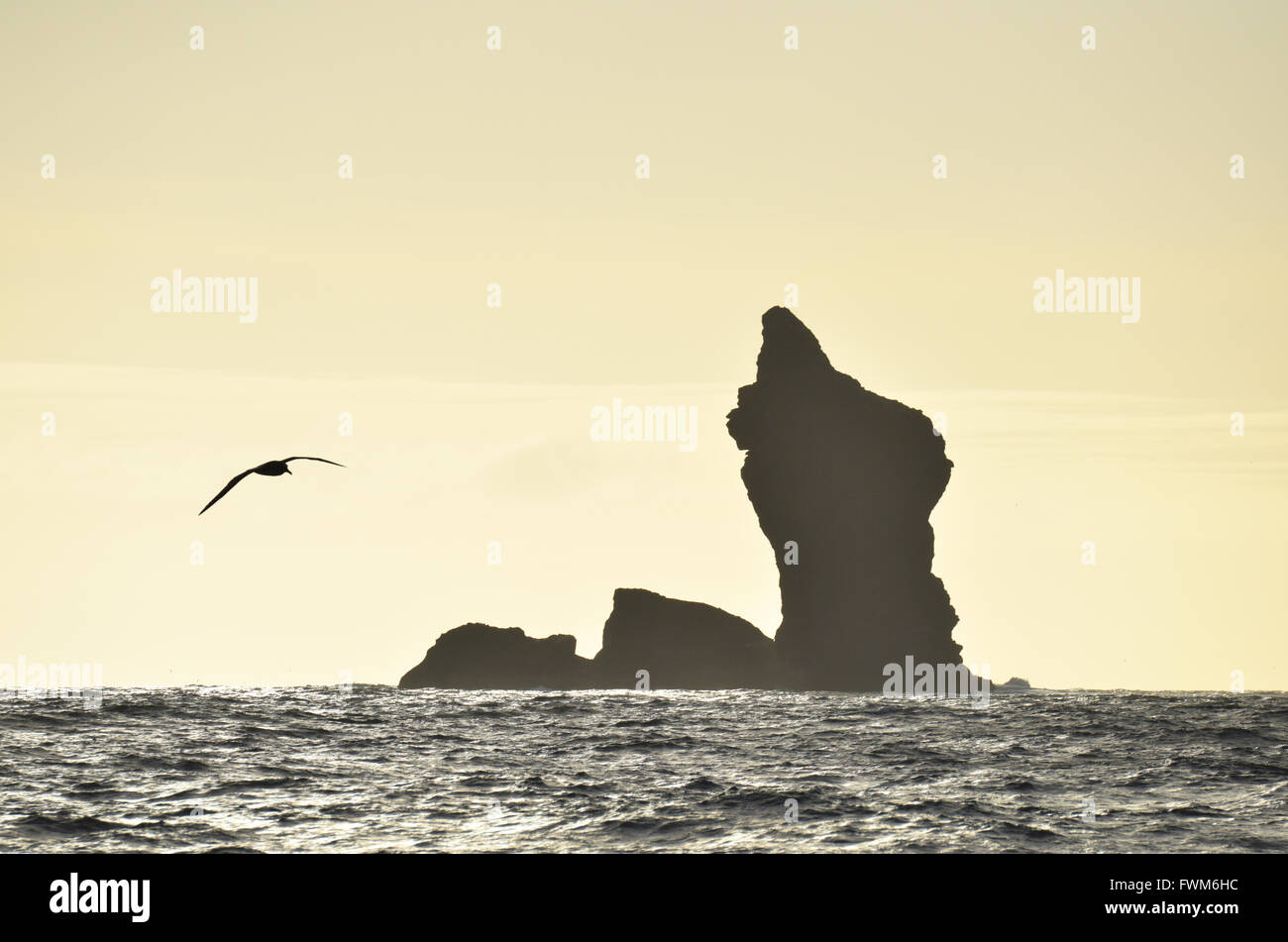 "Sail Rock", Chatham-Inseln. Pazifik vor der Küste Neuseelands Stockfoto