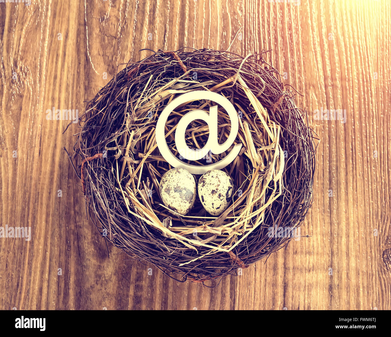 Ei mit e-Mail Zeichen mit Eiern im nest Stockfoto