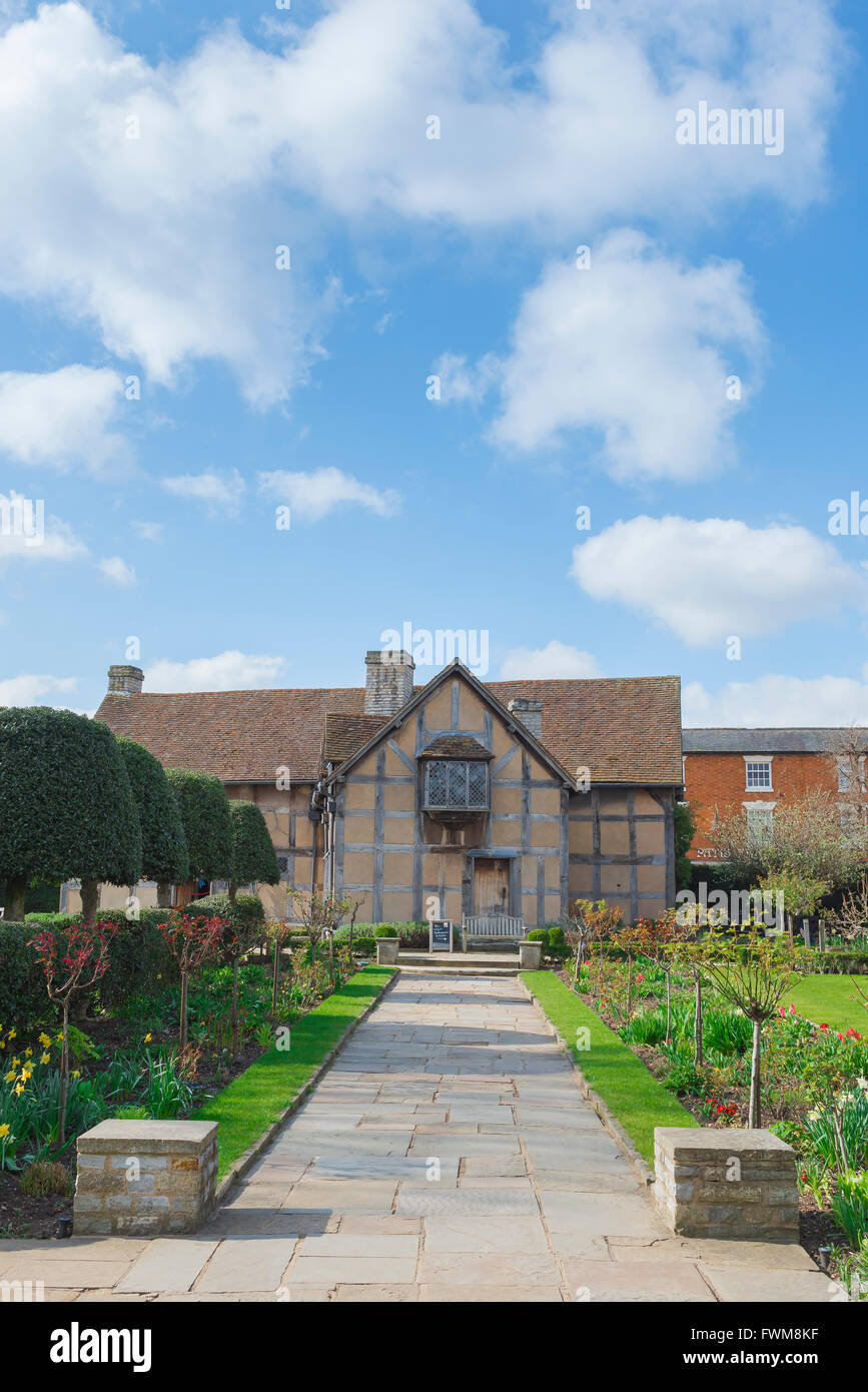 Blick auf den Garten und die Rückseite des mittelalterlichen Fachwerkhauses, in dem Shakespeare geboren wurde (1564) in der Henley Street, Stratford Upon Avon, England Stockfoto