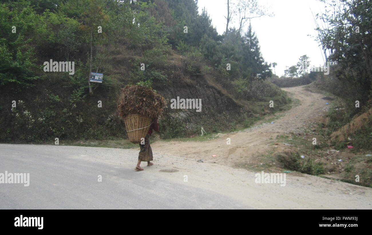 Eine Dame mit Futter im Bambuskorb Sindhupalchock, Nepal Stockfoto