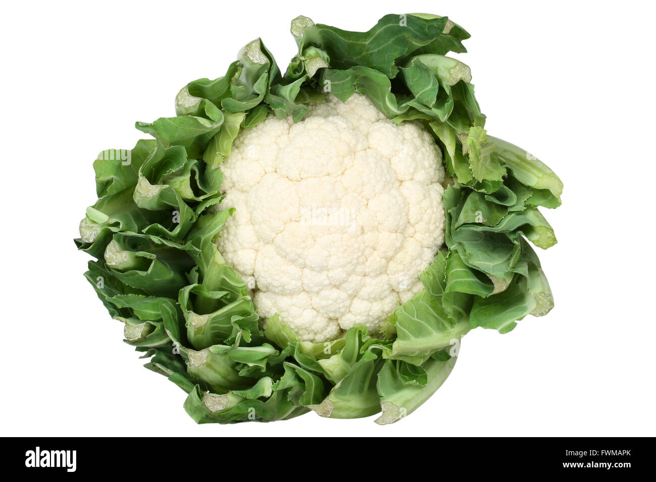 Blumenkohl Draufsicht Gemüse isoliert auf weißem Hintergrund Stockfoto
