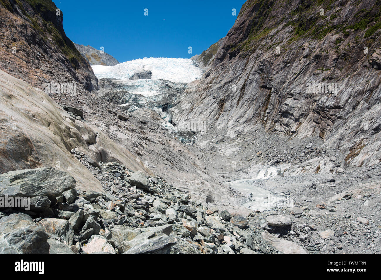 Franz Josef Gletscher im Westland-Nationalpark, New Zealand Stockfoto