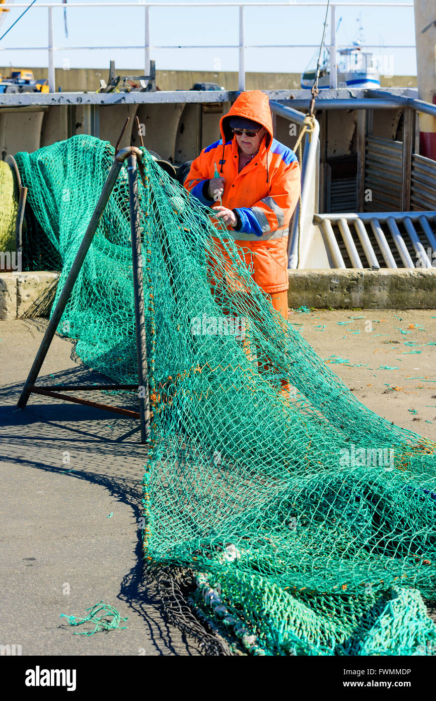 Simrishamn, Schweden - 1 April, 2016: Fischer auf dockside Ausbessern seine grünen Fischernetze. Echte Menschen im Alltag. Stockfoto