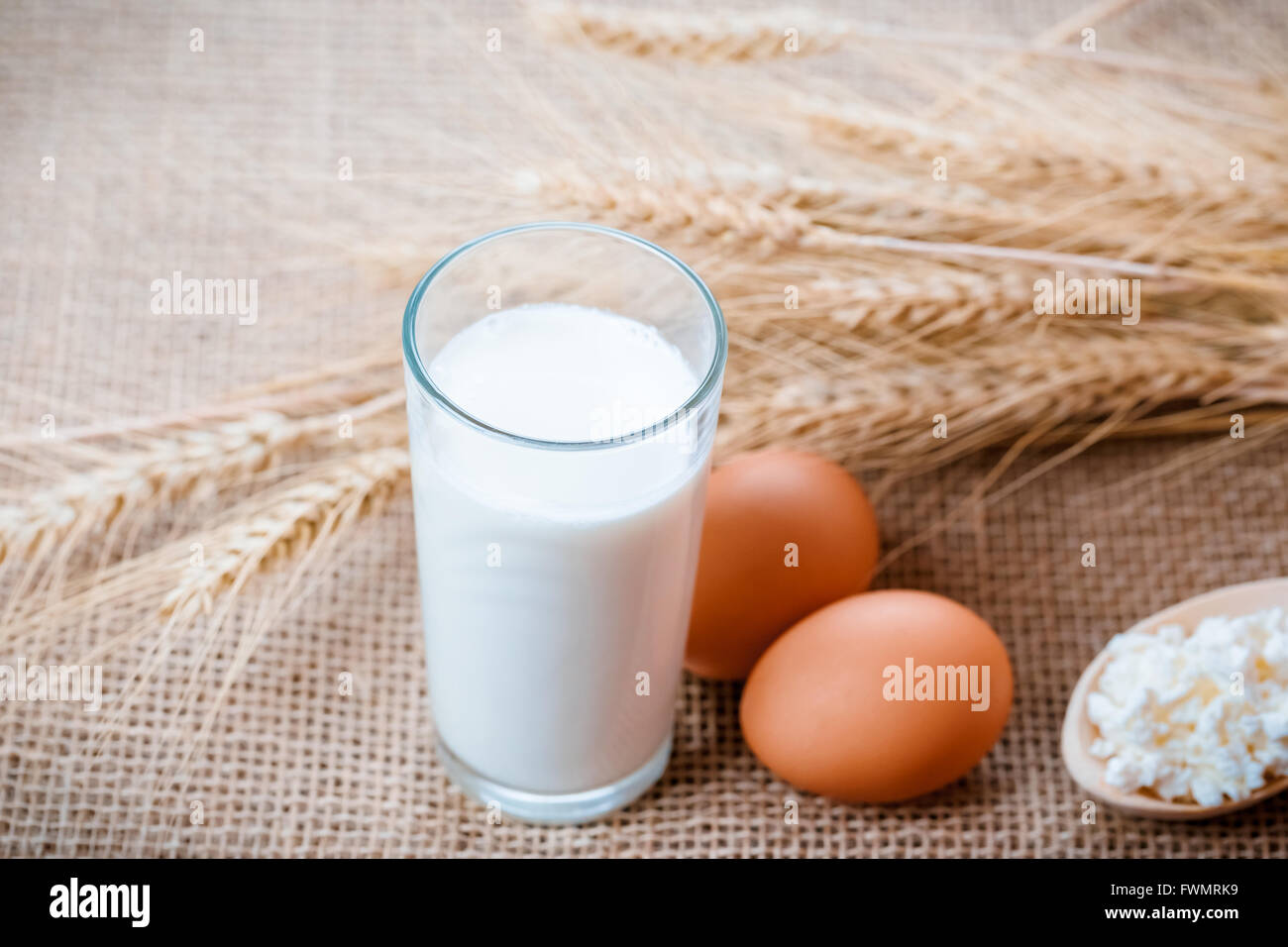 Hüttenkäse, Glas Milch, zwei Eier, Löffel aus Holz mit Quark und Weizen Ohren liegen auf der Serviette aus Sackleinen auf der Stockfoto