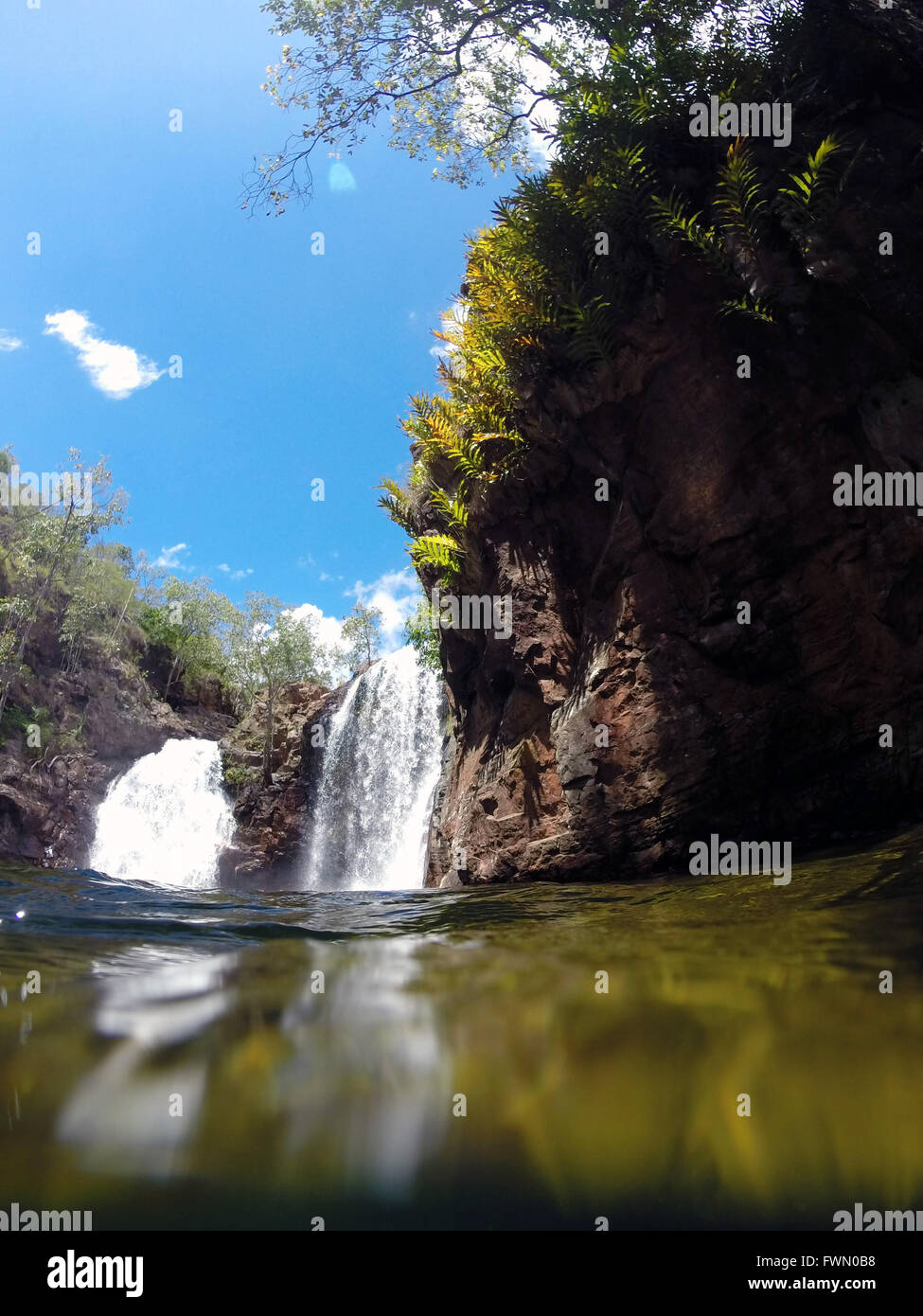 Florence Falls in der nassen Jahreszeit, Litchfield Nationalpark, Northern Territory, Australien Stockfoto