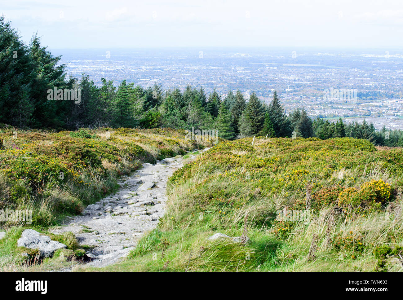 Wicklow Way. Kilmashogue Wald und spektakuläre Ansichten der Stadt Dublin Stockfoto