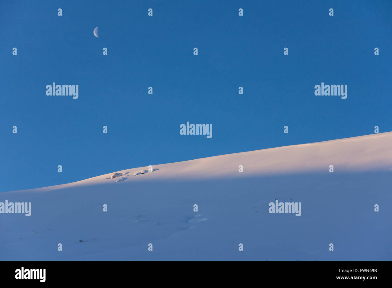 Der Mond über einer Neuschnee-Bank mit den ersten Sonnenstrahlen. Stockfoto