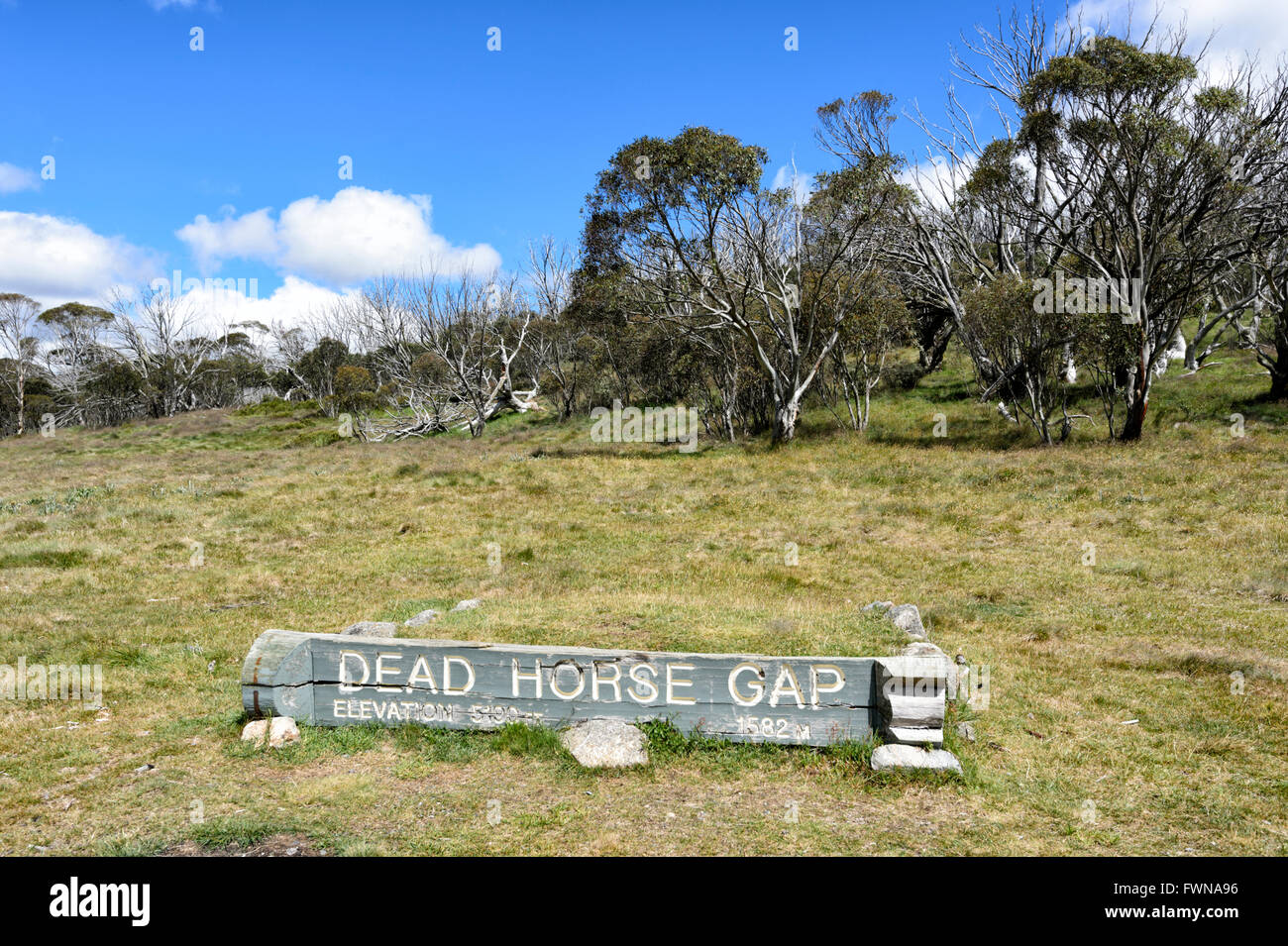 Dead Horse Gap, Kosciuszko National Park, New-South.Wales, Australien Stockfoto