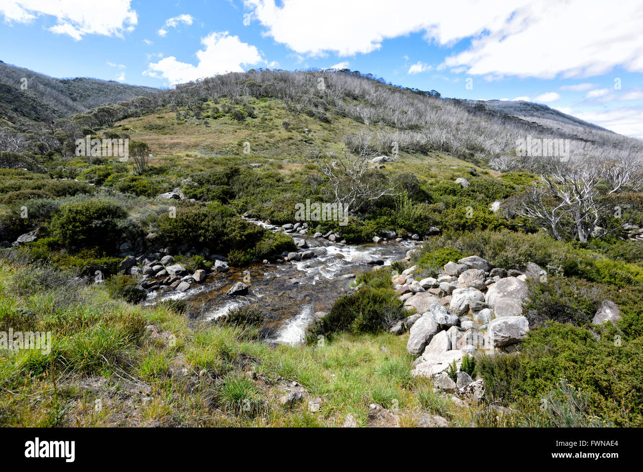 Kosciuszko-Nationalpark, New South Wales, Australien Stockfoto