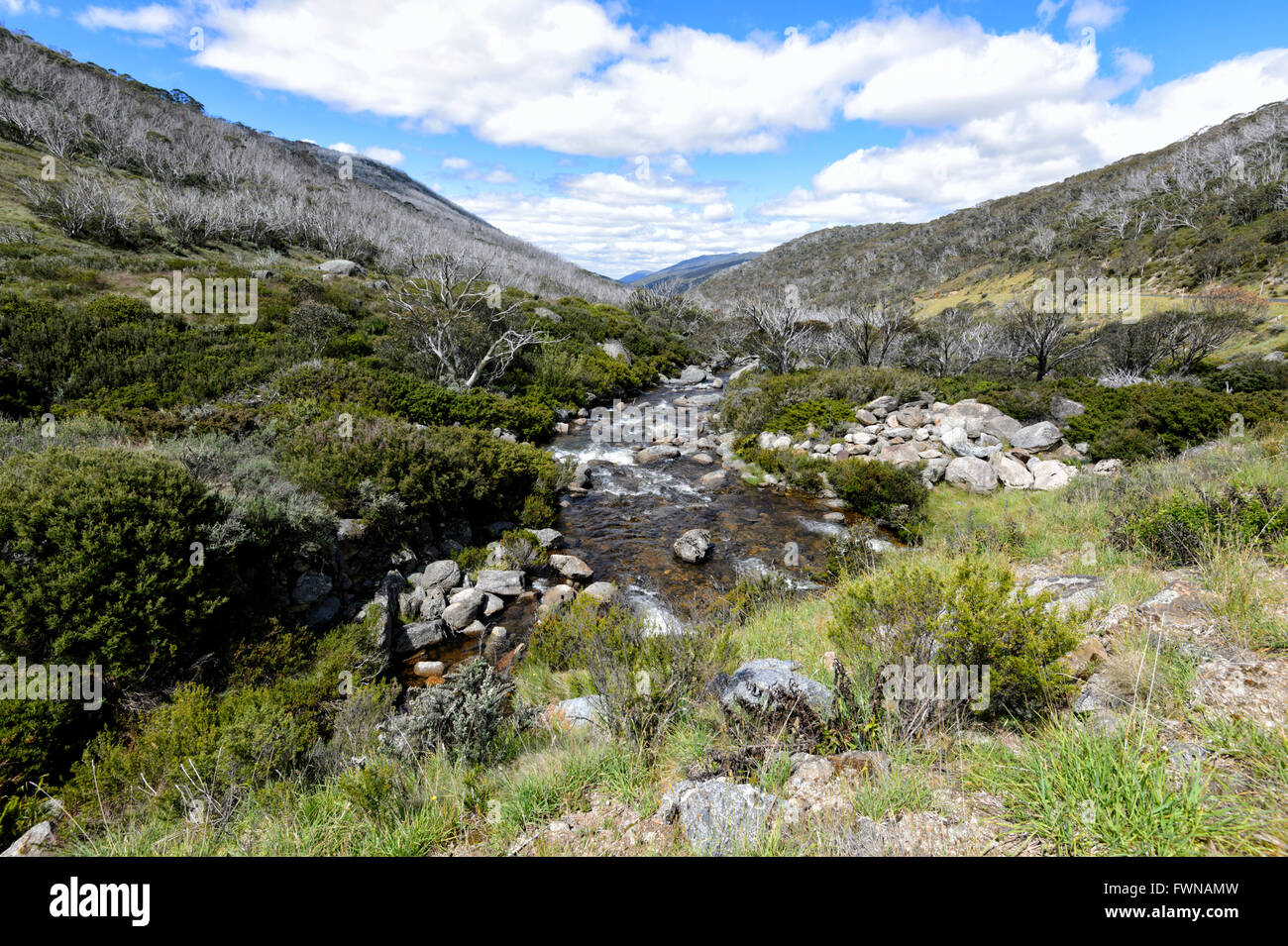 Kosciuszko-Nationalpark, New South Wales, Australien Stockfoto