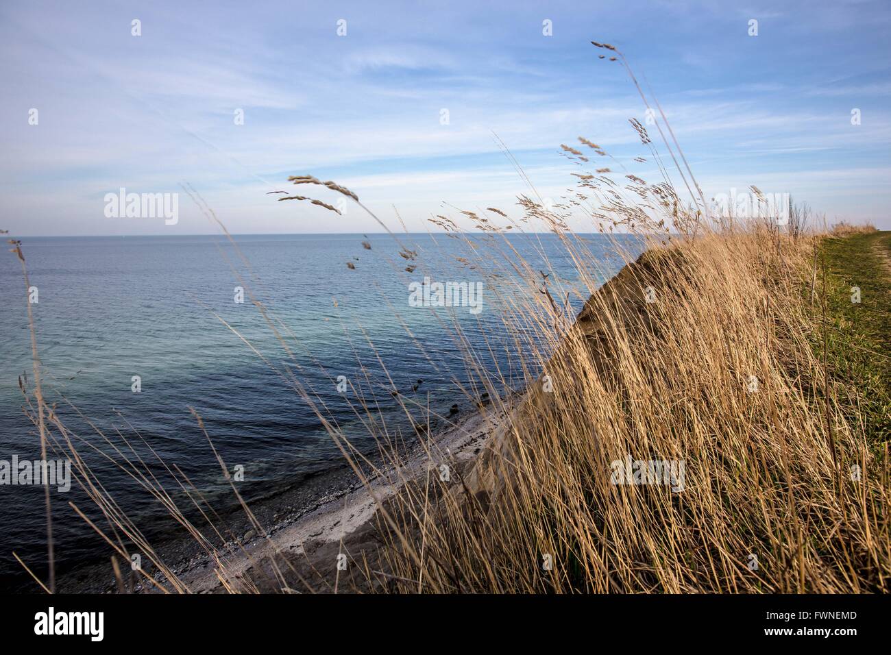 Klippe Küste an der Ostsee in Norddeutschland Stockfoto