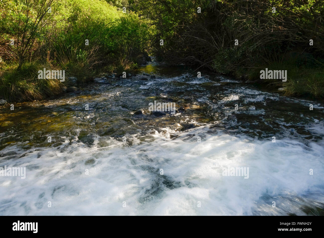 Starke fließenden Wasserstrom mit sauberem Wasser in Bergen, Spanien. Stockfoto