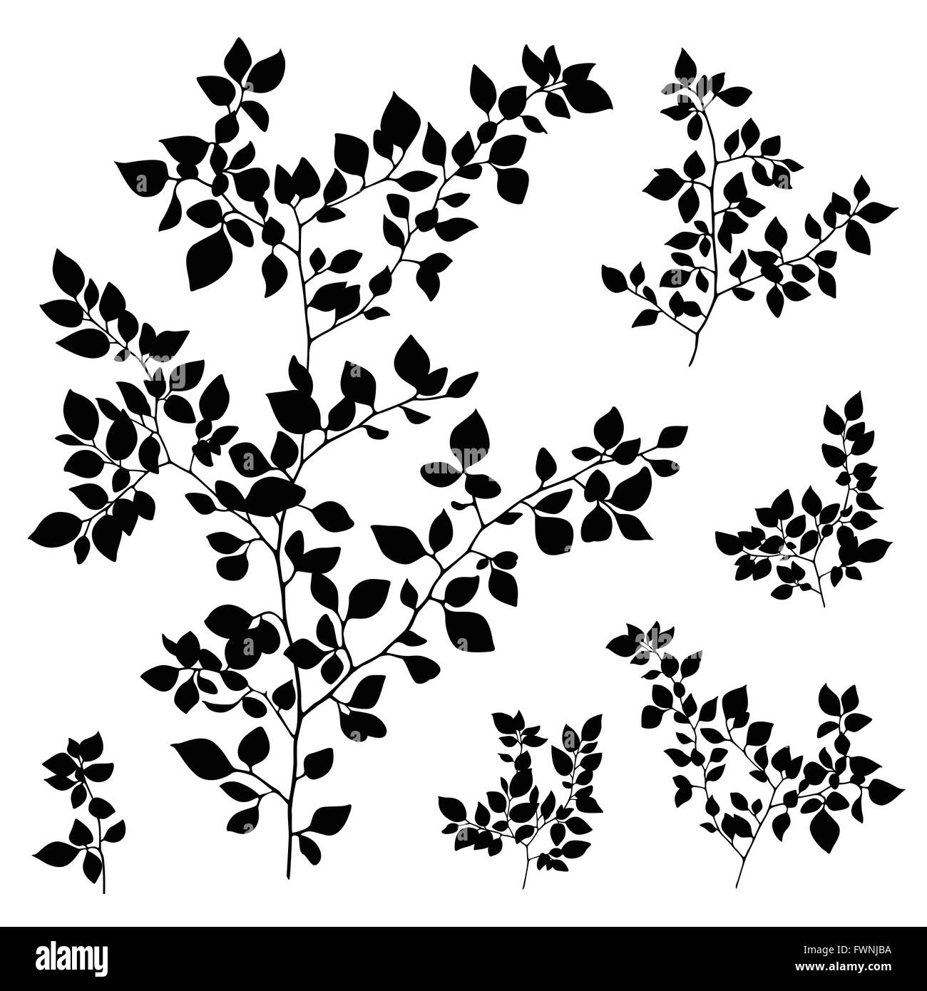 Zweige Blätter Silhouette Satz Stockfoto