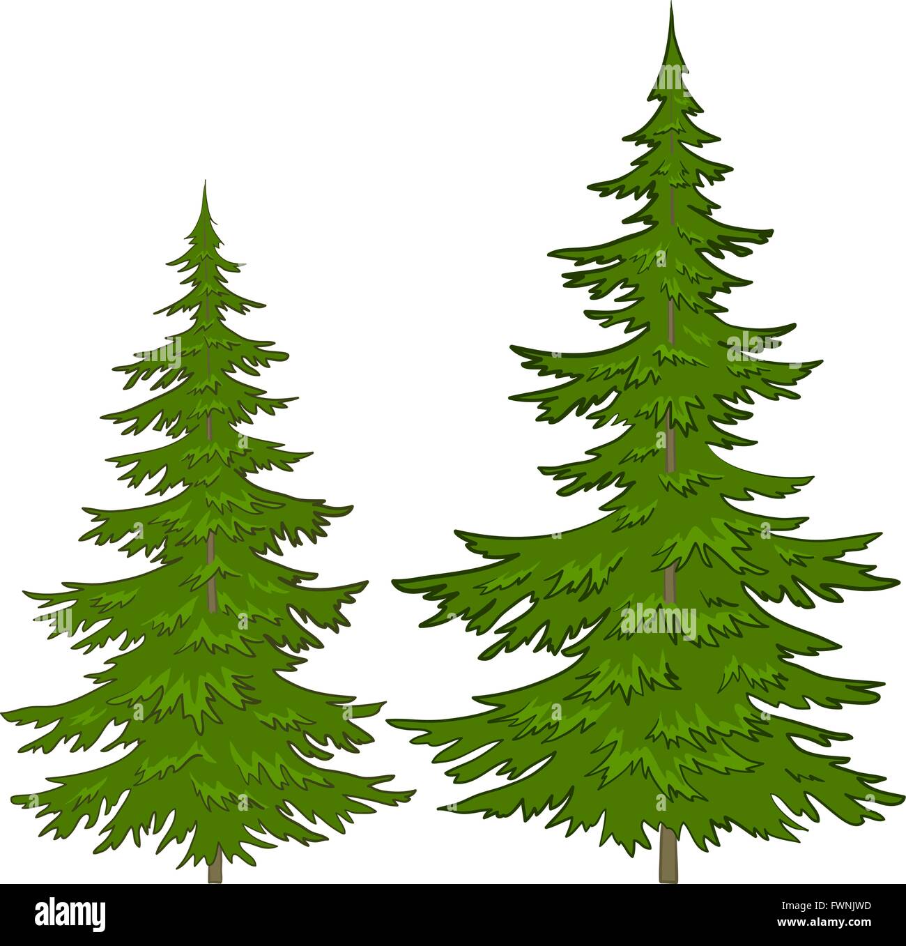 Die Tannen Stock Vektor