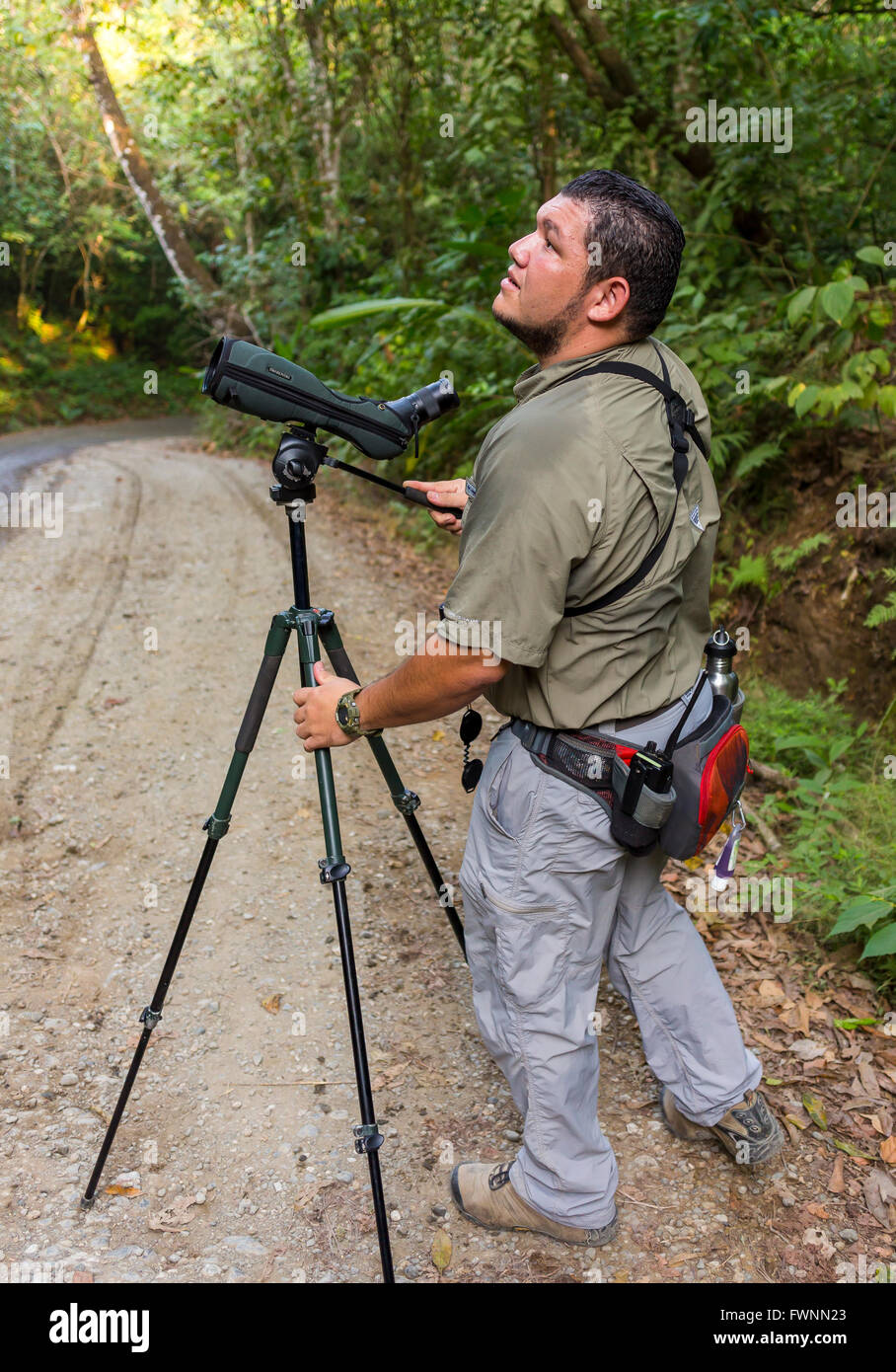Die Halbinsel OSA, COSTA RICA - Ökotourismus Naturführer mit Spektiv auf Stativ, Wildbeobachtung im Regenwald. Stockfoto