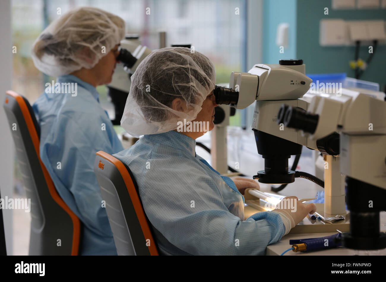 Stents unterliegen einer Qualitätskontrolle in einem Reinraum in der Medizintechnik-Firma Cortronik GmbH in Warnemünde, Deutschland, 5. April 2016. Cortronik ist Teil des Geschäftsbereichs BIOTRONIK, ist einer der weltweit führenden Hersteller von Herz-Kreislauf- und endovaskuläre Medizinprodukte, laut eigenen Angaben. Innerhalb der Gruppe dient Cortronik als das Kompetenzzentrum für die Entwicklung und Herstellung von Stents. Mecklenburg-Vorpommern Pommerschen premier Sellering soll die Firma am 06 April zu besuchen. Foto: BERND WUESTNECK/dpa Stockfoto