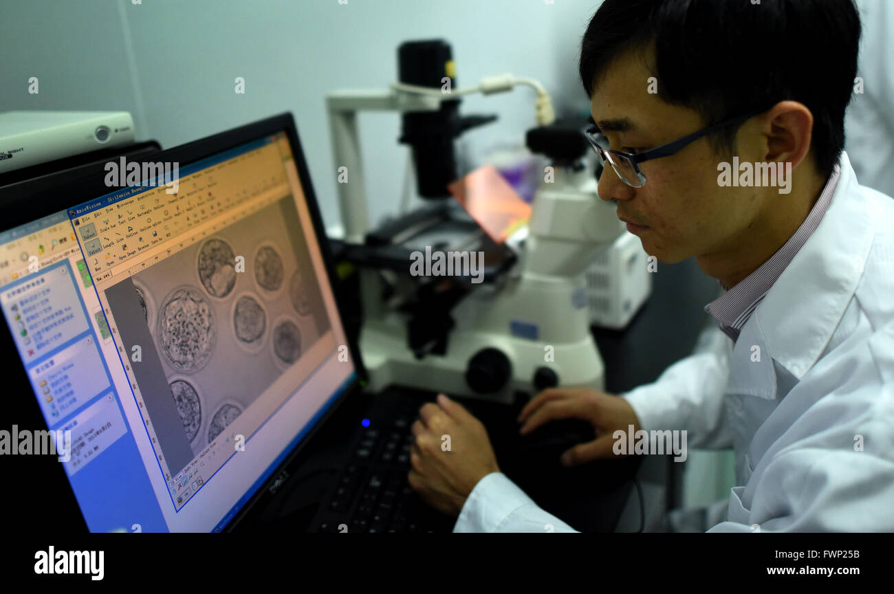 (160407)--GUANGZHOU, 7. April 2016 (Xinhua)--Associate Prefessor Huang Junjiu, auch ein Genfunktion Forscher, macht Experimente am Sun Yat-Sen-Universität in Guangzhou, Hauptstadt der südchinesischen Provinz Guangdong, 2. April 2016. Im April 2015 veröffentlicht Biologe Huang Junjiu den ersten Bericht eines menschlichen Embryos mit bearbeiteten Genen, Funkenbildung eine globale Debatte über die Ethik der Forschung. In seinem Arbeitszimmer verwendet Huang und sein Team überzählige Embryos von Fruchtbarkeitskliniken, die könnte nicht zu einer Lebendgeburt Fortschritt und modifiziert das Gen verantwortlich für eine Art von Erkrankung des Blutes, in der Embryonen. Zu acco Stockfoto