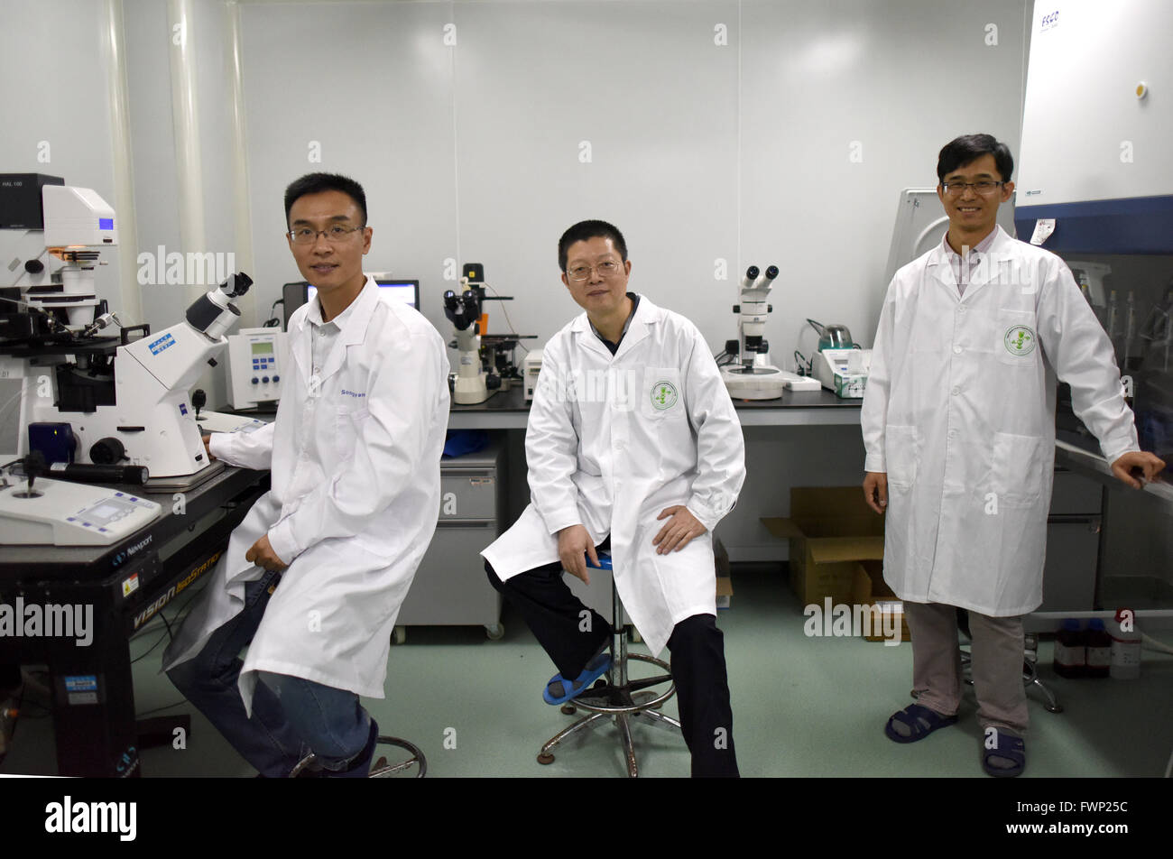 (160407)--GUANGZHOU, 7. April 2016 (Xinhua)--ein Wissenschaftlerteam, darunter Professor Song Yangzhou (L), Ma Wenbin (C) und Huang Junjiu, Pose für ein Gruppenfoto am Sun Yat-Sen-Universität in Guangzhou, Hauptstadt der südchinesischen Provinz Guangdong, 2. April 2016. Im April 2015 veröffentlicht Biologe Huang Junjiu den ersten Bericht eines menschlichen Embryos mit bearbeiteten Genen, Funkenbildung eine globale Debatte über die Ethik der Forschung. In seinem Arbeitszimmer verwendet Huang und sein Team überzählige Embryos von Fruchtbarkeitskliniken, die könnte nicht zu einer Lebendgeburt Fortschritt und modifiziert für eine Art von Blut Formunterschiede verantwortliche Gen Stockfoto