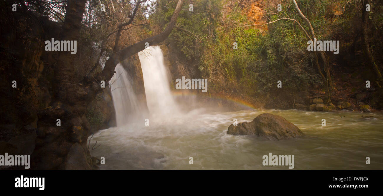 Hermon Stream Natur Reservat (Banias) Golanhöhen Israel dieser Stream ist eine der Quellen des Jordans Stockfoto