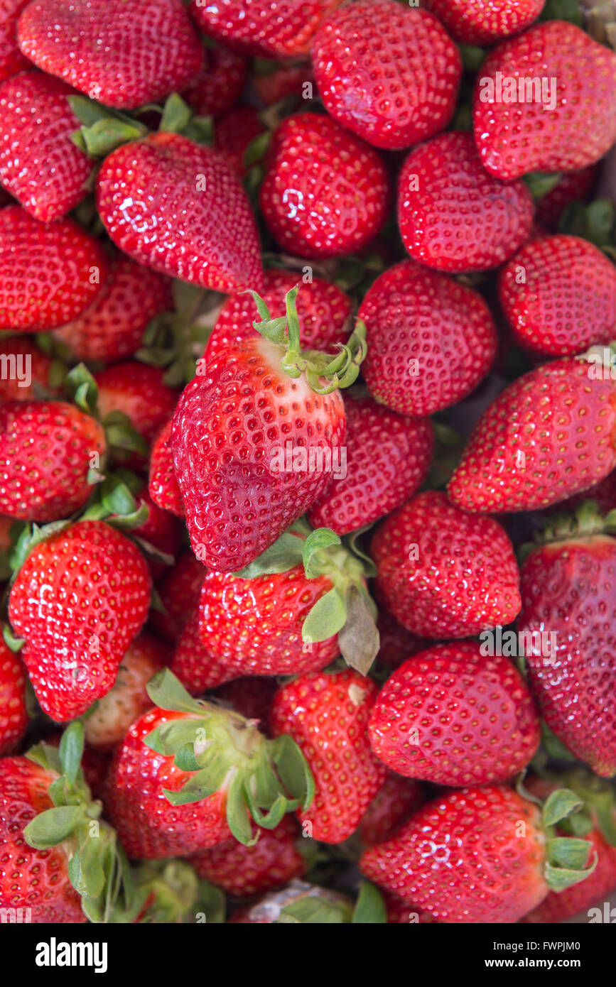 Fraise Sur Étalage de Marché Marseille Frankreich Stockfoto