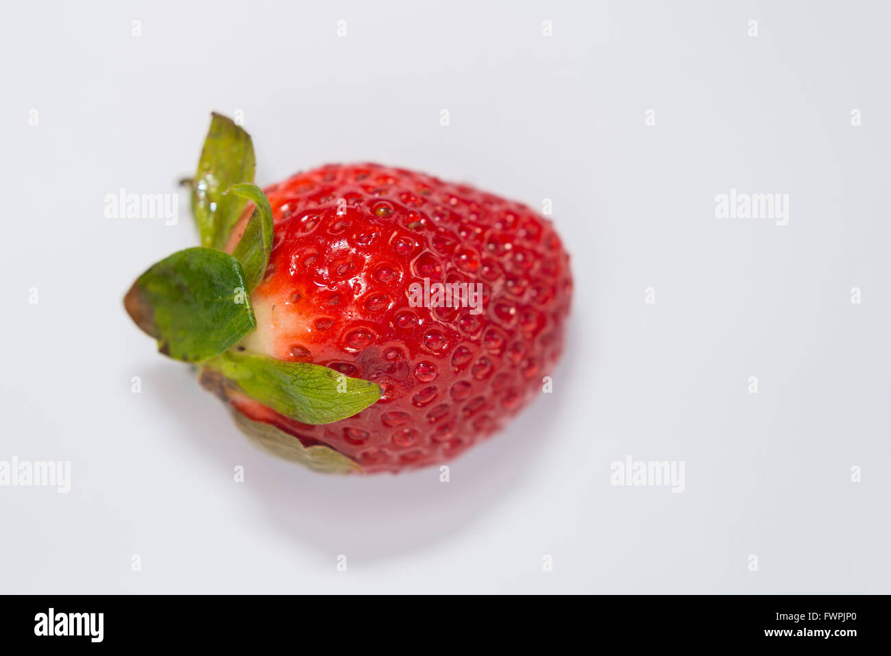 Fraise sur fond blanc Marseille Frankreich Stockfoto