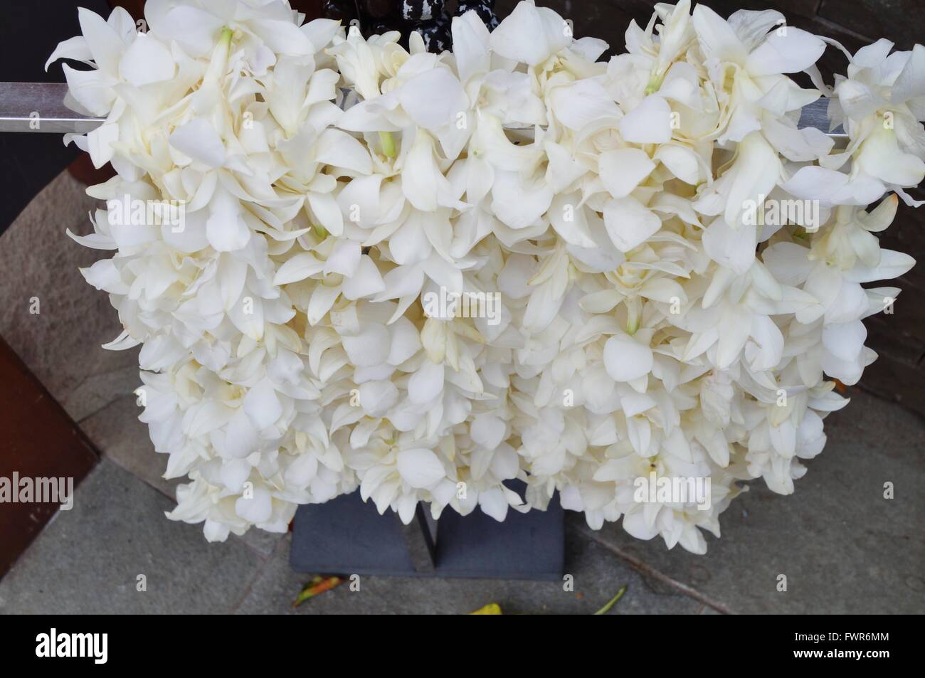 Duftende weiße Tahitis Blume Lei Halsketten warten auf Besucher auf Hawaii Stockfoto