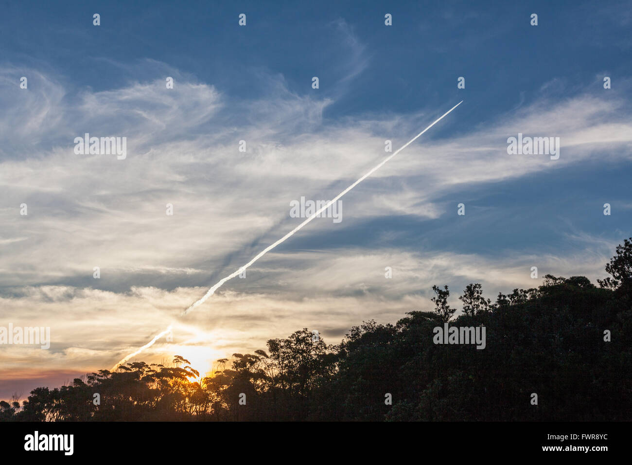 Diagonale Jet Flugzeug Trail im Himmel bei Sonnenuntergang mit Silhouetten von australischen Küstenvegetation Stockfoto