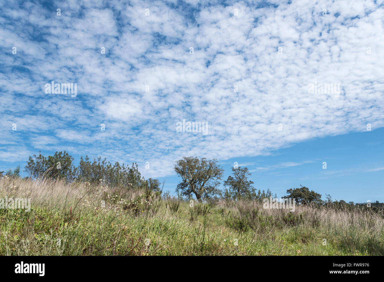 Mid-Level Altocumulus-Wolken über einem portugiesischen Hügel Stockfoto