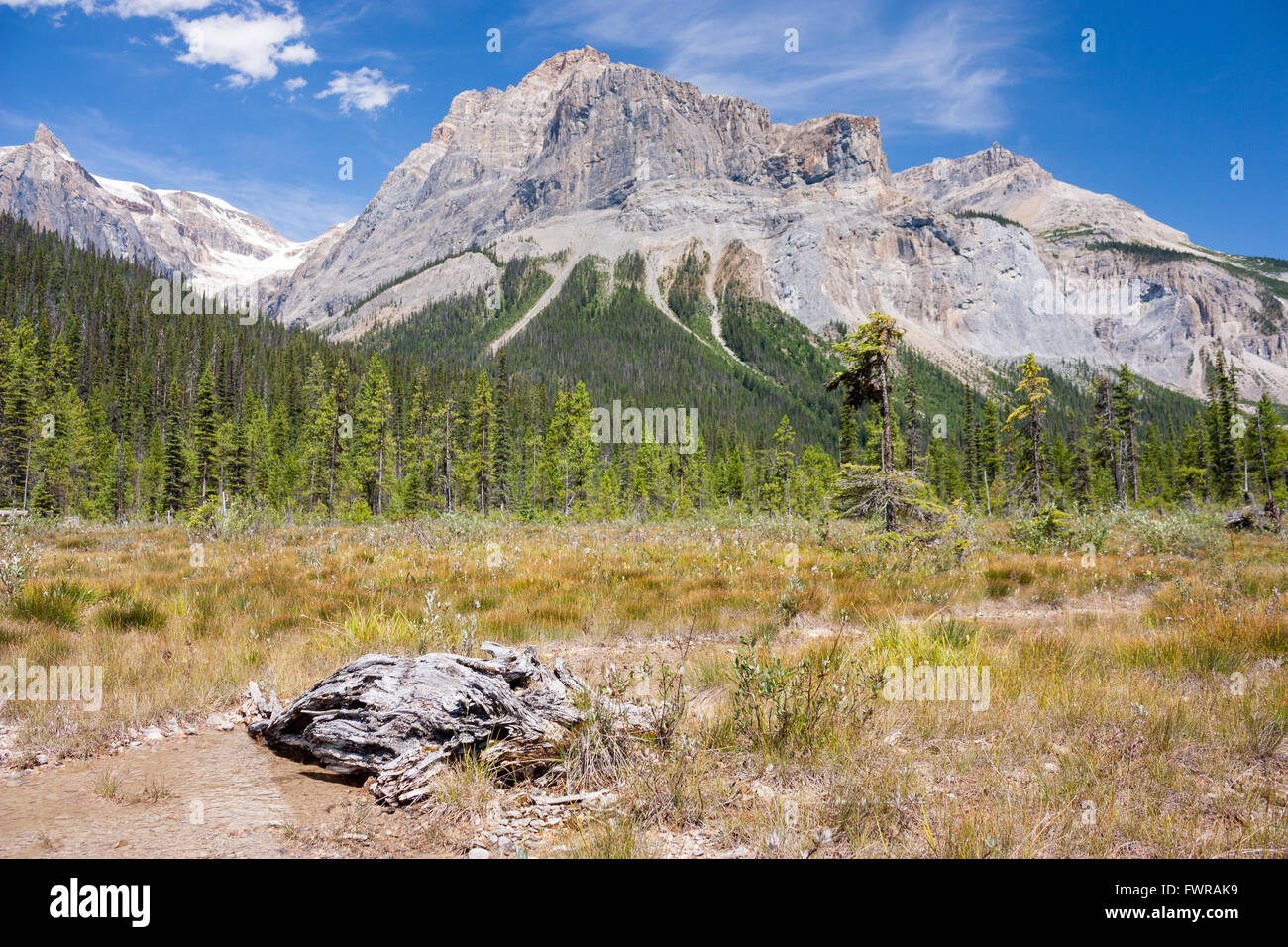 Michael Peak bei Emerald Lake, Banff, Kanada Stockfoto