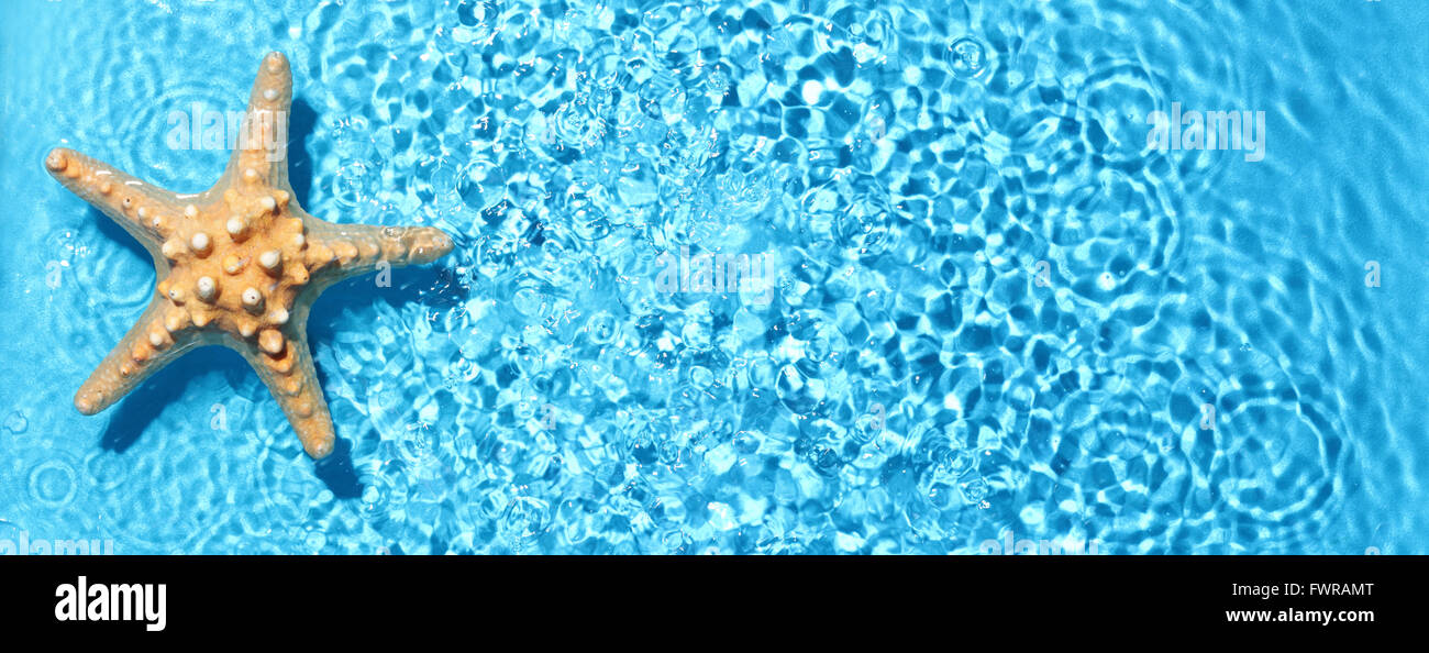 Seestern im blauen Wasser mit Lichtreflexion. Stockfoto