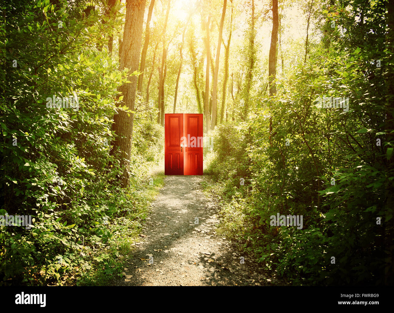 Eine rote Tür ist auf einem Trail im Wald mit Bäumen für eine konzeptionelle Konzept über glauben, Freiheit oder Freiheit Konzept. Stockfoto