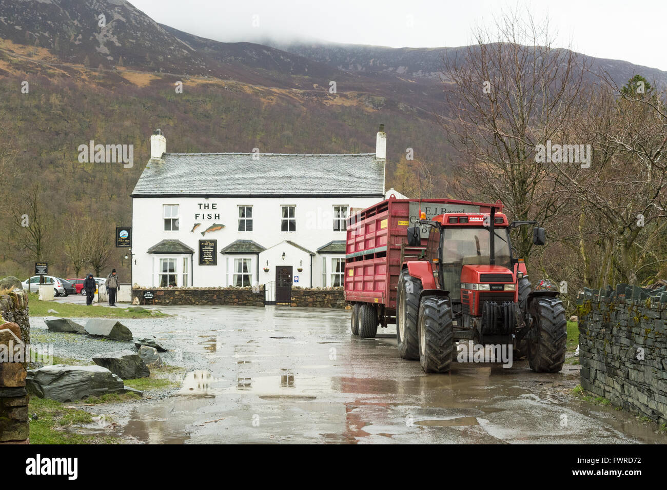 Fish Inn, Buttermere, Lake District, Cumbria, England an einem regnerischen Tag im Frühling Stockfoto