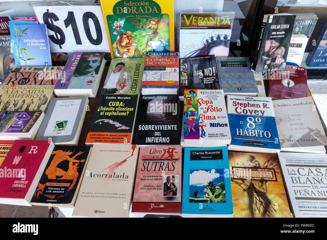Miami Florida, Revistas & Periodicos Liberia, Buchhandlung, unabhängig, Inneneinrichtung, Bücher, Verkauf, Verkauf in spanischer Sprache anzeigen, Shopper shoppen Stockfoto
