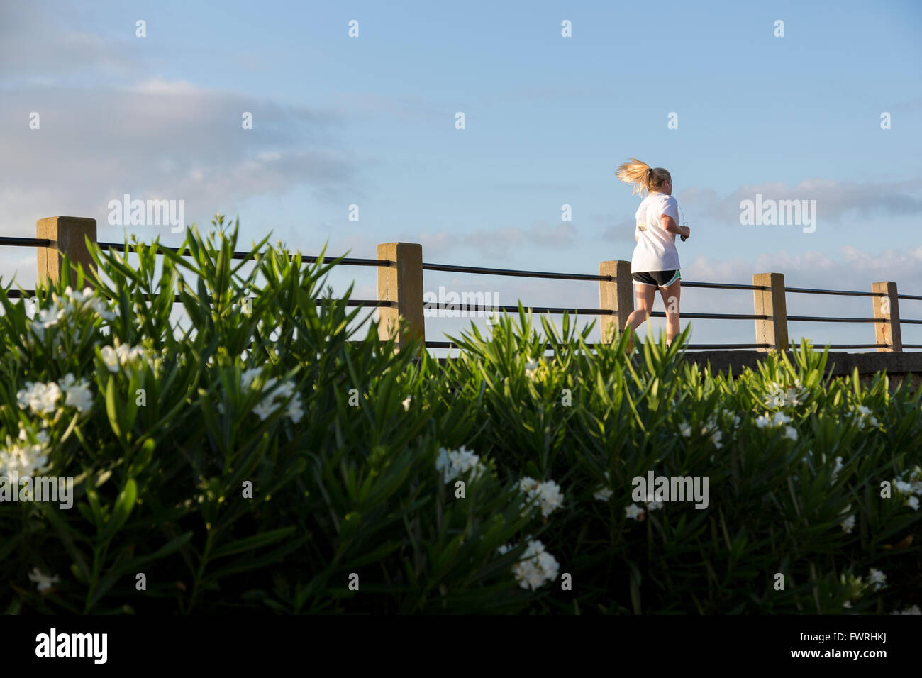 Frau Jogger entlang der historischen Akku in Charleston, South Carolina Stockfoto